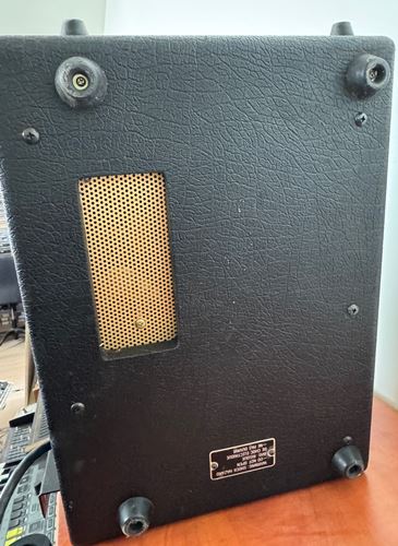 Roland-RE 201 Space Echo to service